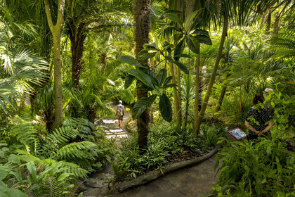 France, Finistère (29), Iles du Ponant, Ile de Batz, jardin Georges Delaselle ou jardin colonial, jardin exotique présentant une collection botanique provenant des cinq continents
