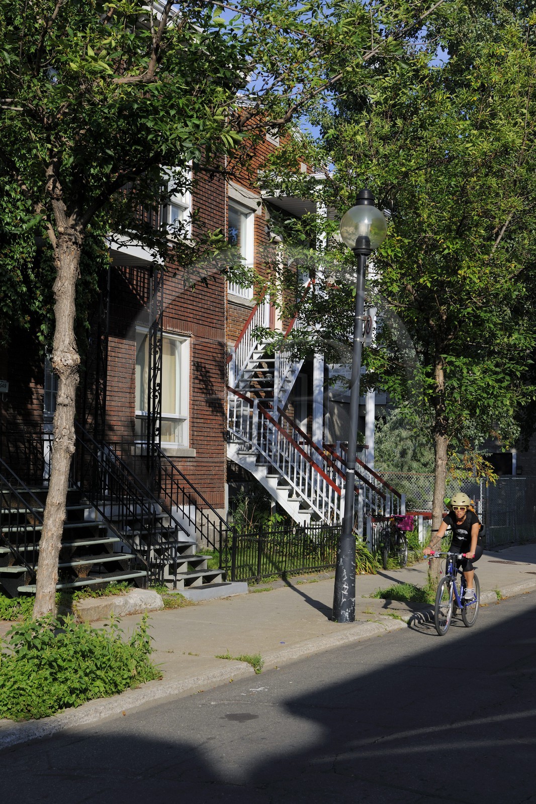 Canada, province de Québec, Montréal, quartier du Plateau Mont Royal Canada, province de Québec, Montréal, quartier du Plateau Mont Royal