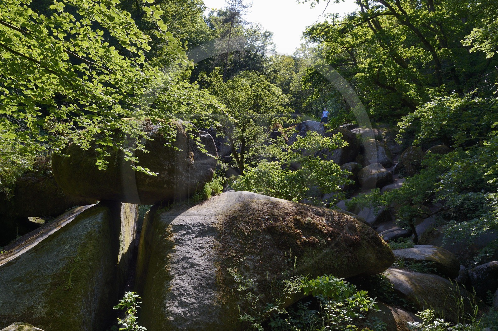 France, Finistere, Parc Naturel Regional d'Armorique (Armorique Natural Regional Park), Huelgoat, granitic chaos of the Huelgoat forest, place called The Virgin household (Le Menage de la Vierge)