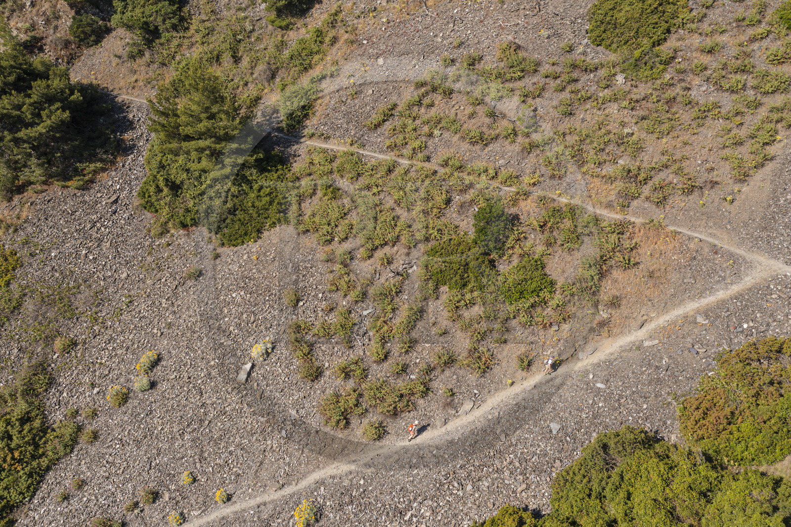 France, Var (83), La Seyne-sur-Mer, randonnée dans le massif du Cap Sicié le long du chemin du Joncquet en contrebas de la Corniche Merveilleuse (vue aérienne)