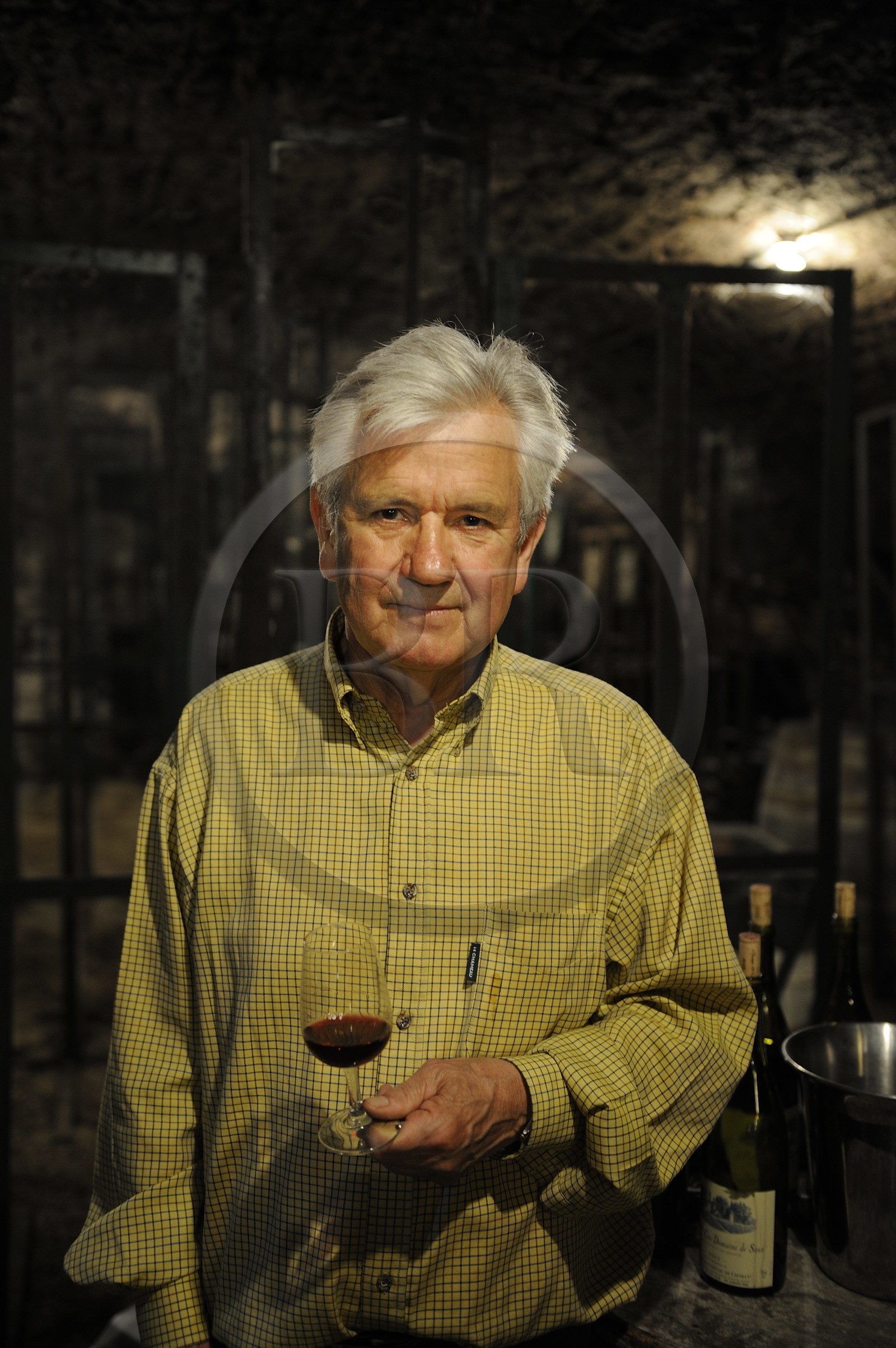 France, Côte d'Or (21), Chorey-les-Beaune, le viticulteur et propriétaire du château Benoît Germain