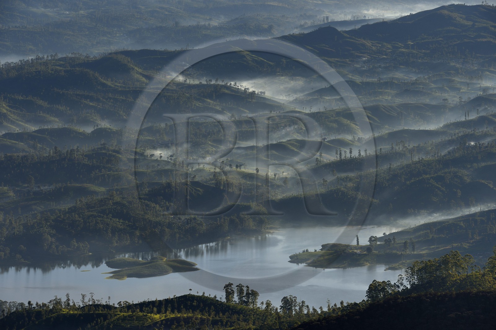 Sri Lanka, province du centre, Dalhousie, paysage sur le réservoir Maussakelle depuis le sommet du Pic d'Adam (Adam's Peak)
