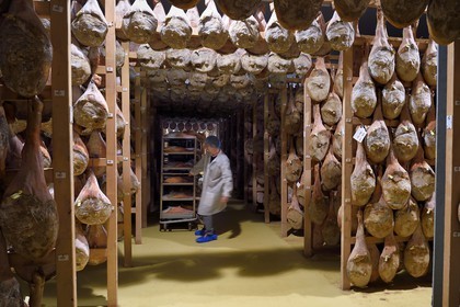 France, Pyrénées-Atlantiques (64), Pays-Basque, vallée des Aldudes, le Séchoir Collectif des Aldudes assure une prestation de séchage et l'affinage de jambons, zone de l'affinage