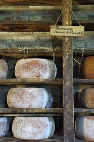 Italie, Emilie-Romagne, Polesine Zibello aux environs de Parme, Antica Corte Pallavicina, meules de Parmigiano Reggiano