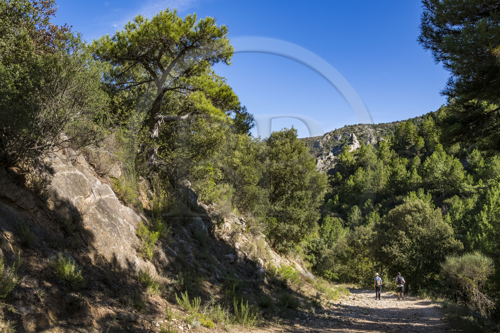 France, Hérault (34), Causses et les Cévennes, paysage culturel de l'agro-pastoralisme méditerranéen, classés Patrimoine Mondial de l'UNESCO, Saint-Guilhem-le-Désert, labellisé Les Plus Beaux Villages de France, randonneurs sur la Via Tolosana sur le Chemin de Saint-Jacques-de-Compostelle au Ravin de la Côte