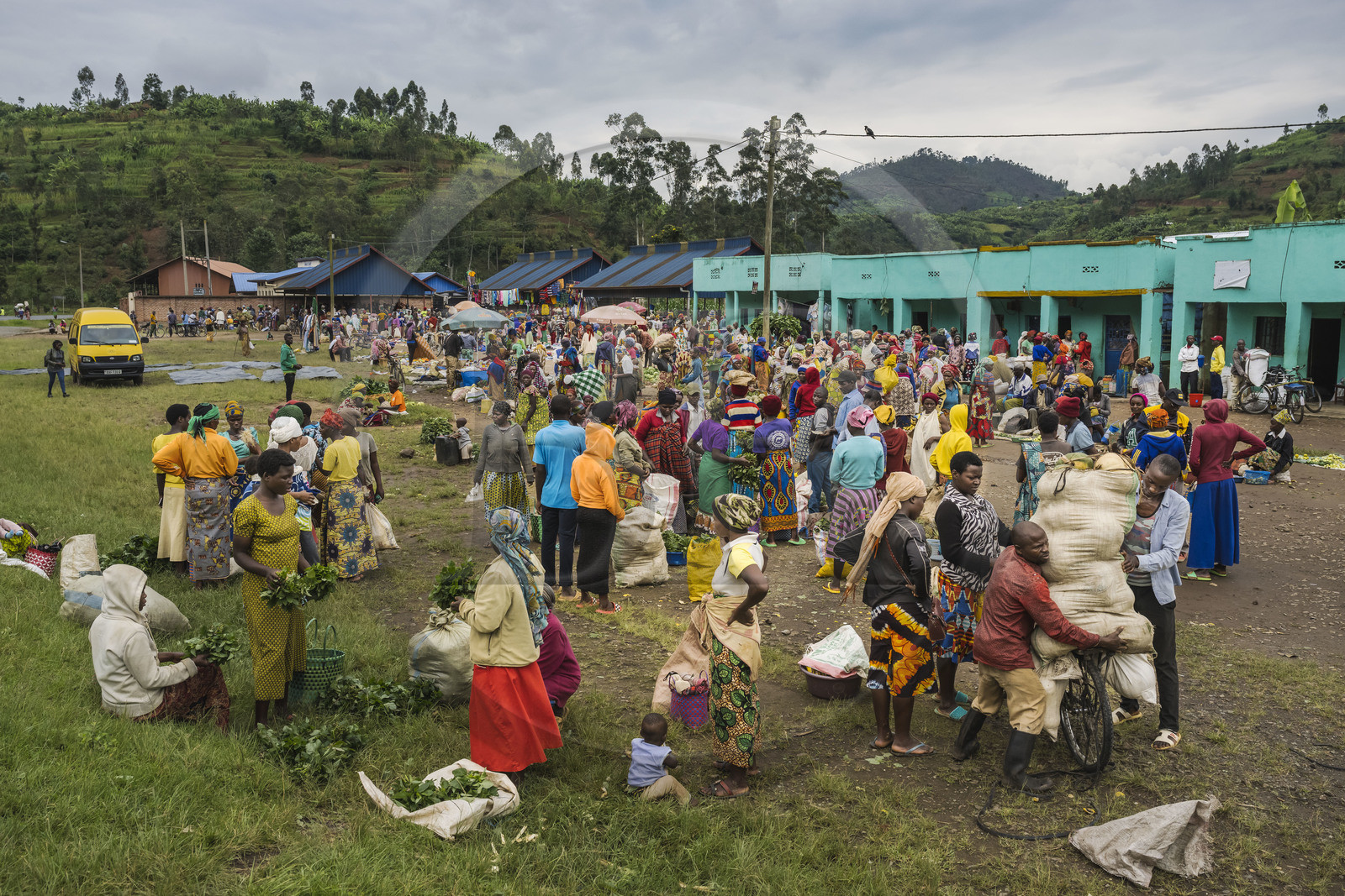 Rwanda, Province du Nord, District de Musanze (Ruhengeri), jour de marché à Muryabazira sur la Route Nationale 4 entre Kigali et Ruhengori, transport de gros sacs sur une bicyclette, les bicyclettes sont le principal moyen de transport local