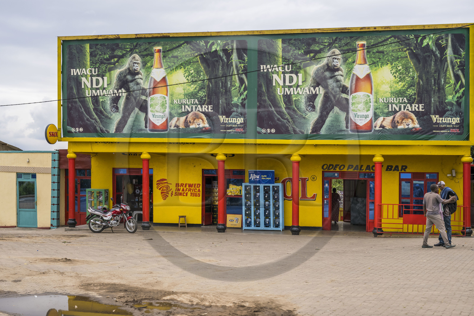 Rwanda, Province du Sud, Musambira, publicité pour la bière Virunga fabriquée au Rwanda mettant en scène un gorille