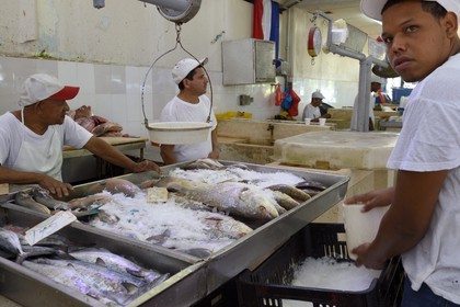 Panama, Panama City, Santa Ana neighborhood, Fish Market (Mercado de Mariscos)