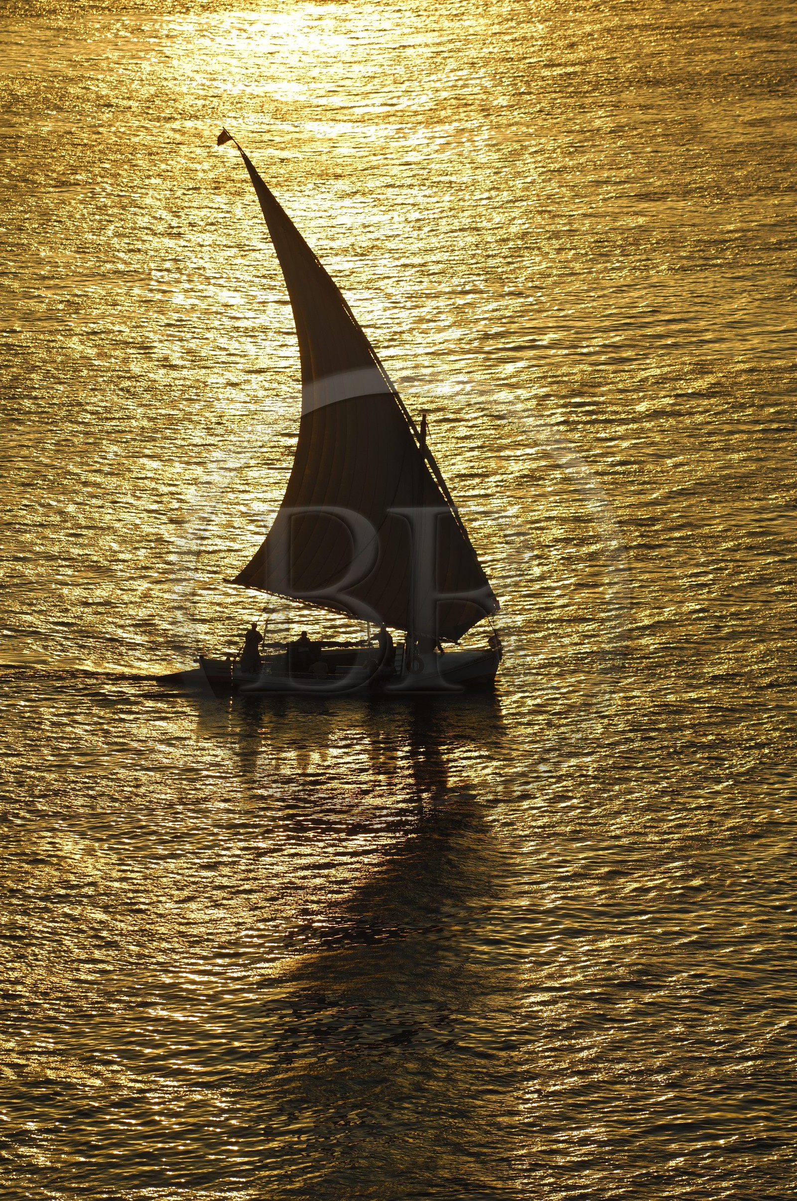 Egypte, Haute Egypte, vallée du Nil, Louxor, felouque sur le Nil