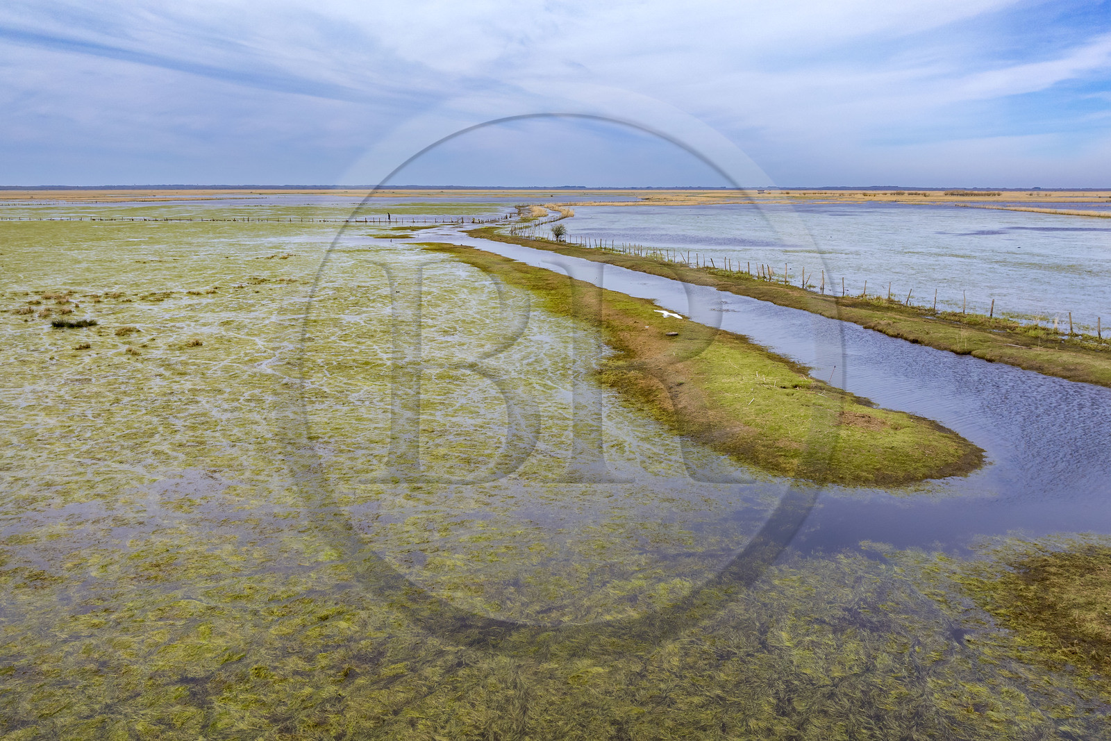 France, Loire-Atlantique, Parc Naturel Regional de la Briere (Briere Natural Regional Park), Saint Malo de Guersac, the Brière marshes (aerial view)