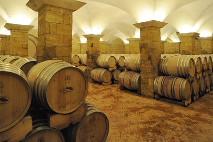 Maroc, région de Meknès, Boufakrane, Les Celliers de Meknès, les caves à vin