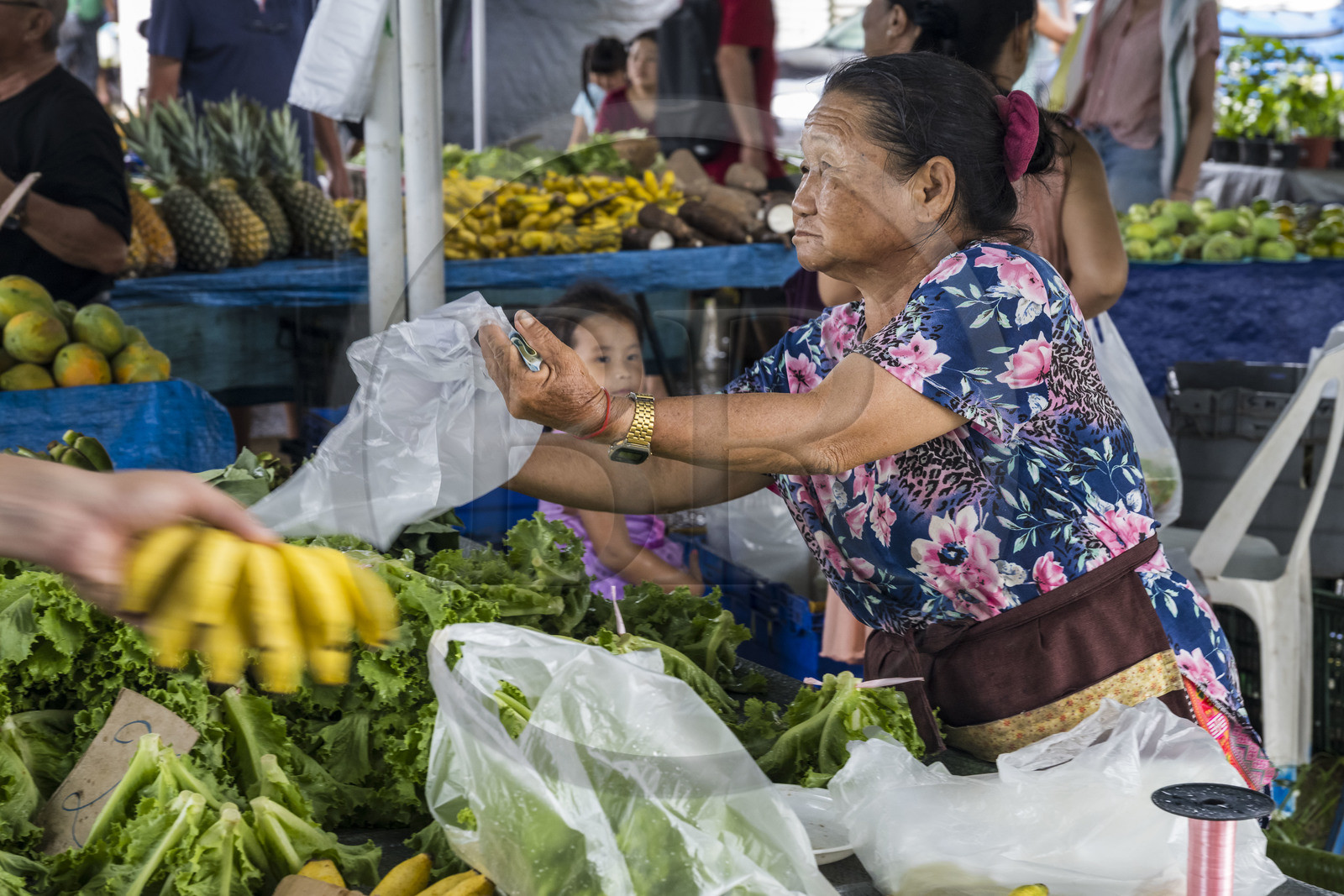 France, Guyane, Javouhey, marché du dimanche Hmong, réfugiés du Laos arrivés en 1978 qui se sont spécialisés dans la culture fruitière