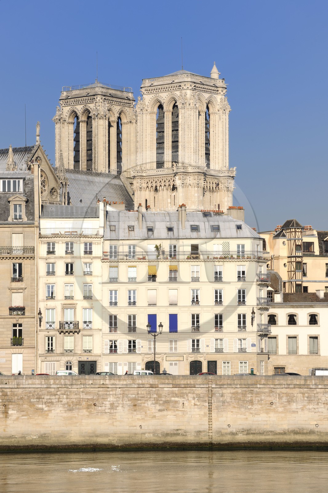 France, Paris (75), Ile de la Cité, Notre-Dame émergeant du quai aux fleurs