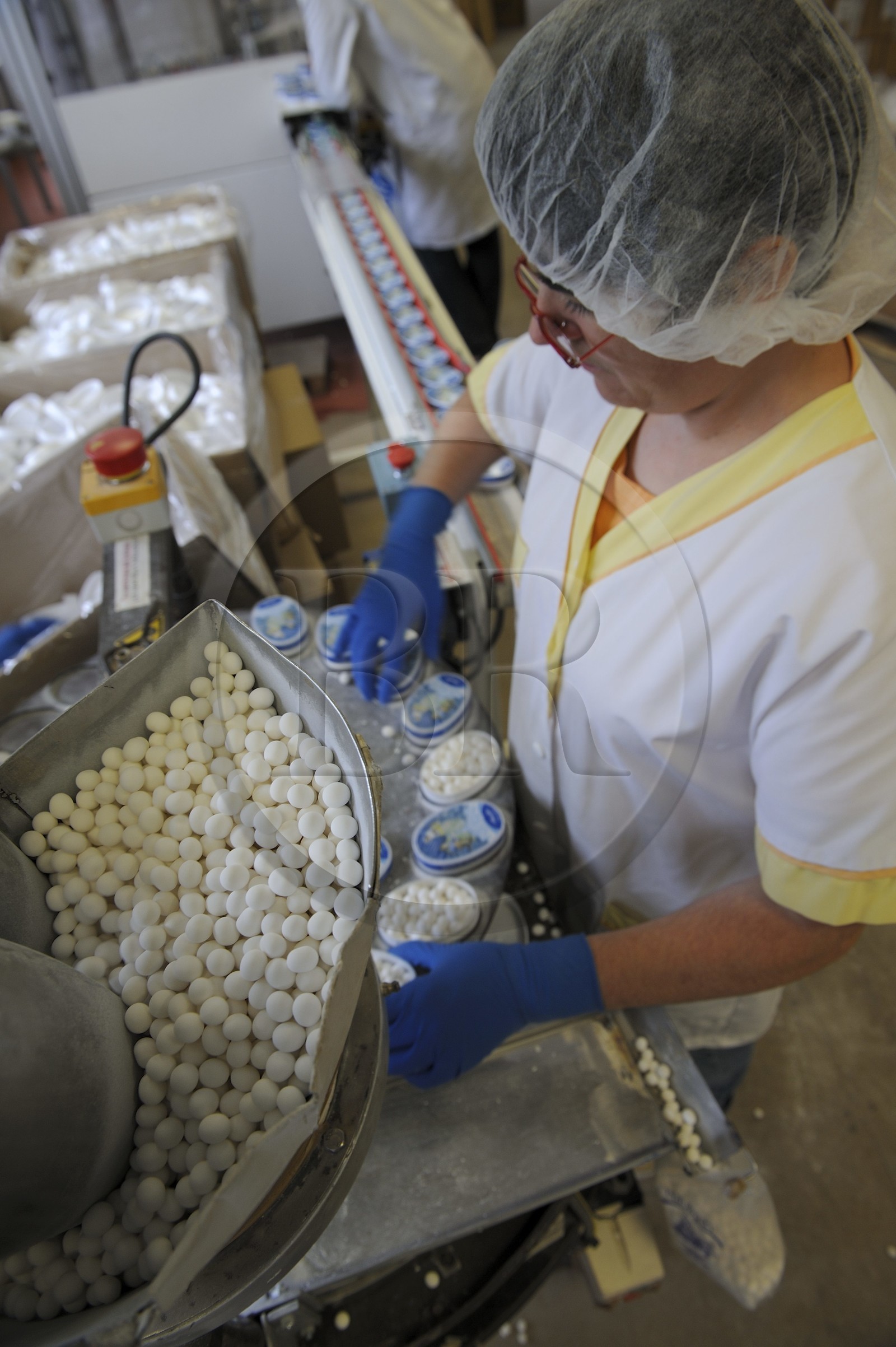 France, Côte d'Or (21), Flavigny-sur-Ozerain, la fabrique des Anis de Flavigny dans l'ancienne abbaye bénédictine