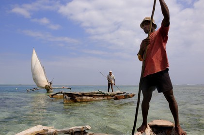 Tanzania, Zanzibar Archipelago, Unguja island (Zanzibar), southeast coast, Bwejuu, fishermen on dhows (traditional Arab sailing vessels)