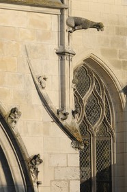 France, Loir et Cher, Blois, Saint Louis Cathedral, gargoyle