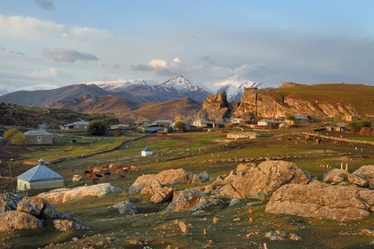 Azerbaïdjan, région de Quba (Guba), chaine de montagne du Grand Caucase, village de Giriz à l'aube, départ des vaches et des moutons pour les prés