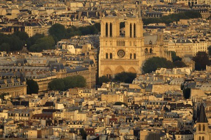 France, Paris (75), Ile de la Cité, cathédrale Notre-Dame de Paris