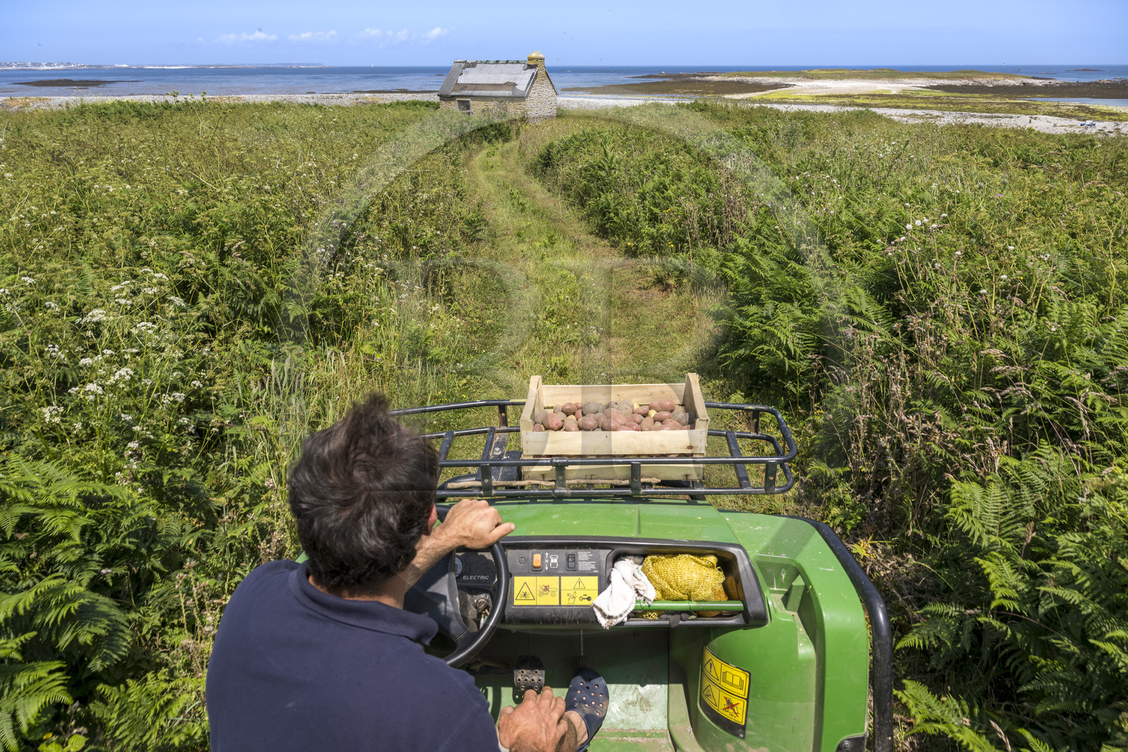 France, Finistère (29), Mer d'Iroise, archipel de Molène, Ile de Quéménès, ferme de Quéménès bio et autonome en énergie, l'agriculteur Etienne Menguy