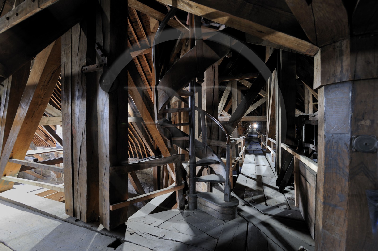 France, Paris, ile de la Cite, Notre-Dame Cathedral, the framework called the forest