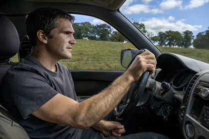 France, Nievre, Regional Natural Park of Morvan, Millay, Les Prairies Gourmandes Farm, Emmanuel Dumas, breeder of Charolais cows