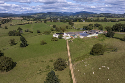 France, Nievre, Regional Natural Park of Morvan, Millay, Les Prairies Gourmandes Farm, breeding of Charolais cows (aerial view)