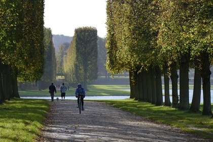 France, Yvelines (78), parc du château de Versailles, classé Patrimoine Mondial de l'UNESCO, promeneurs dans l'allée menant au Grand Canal