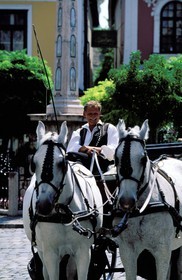 Hungary, county Pest, city of Szentendre on the Danube curve, horse carriage on the main square
