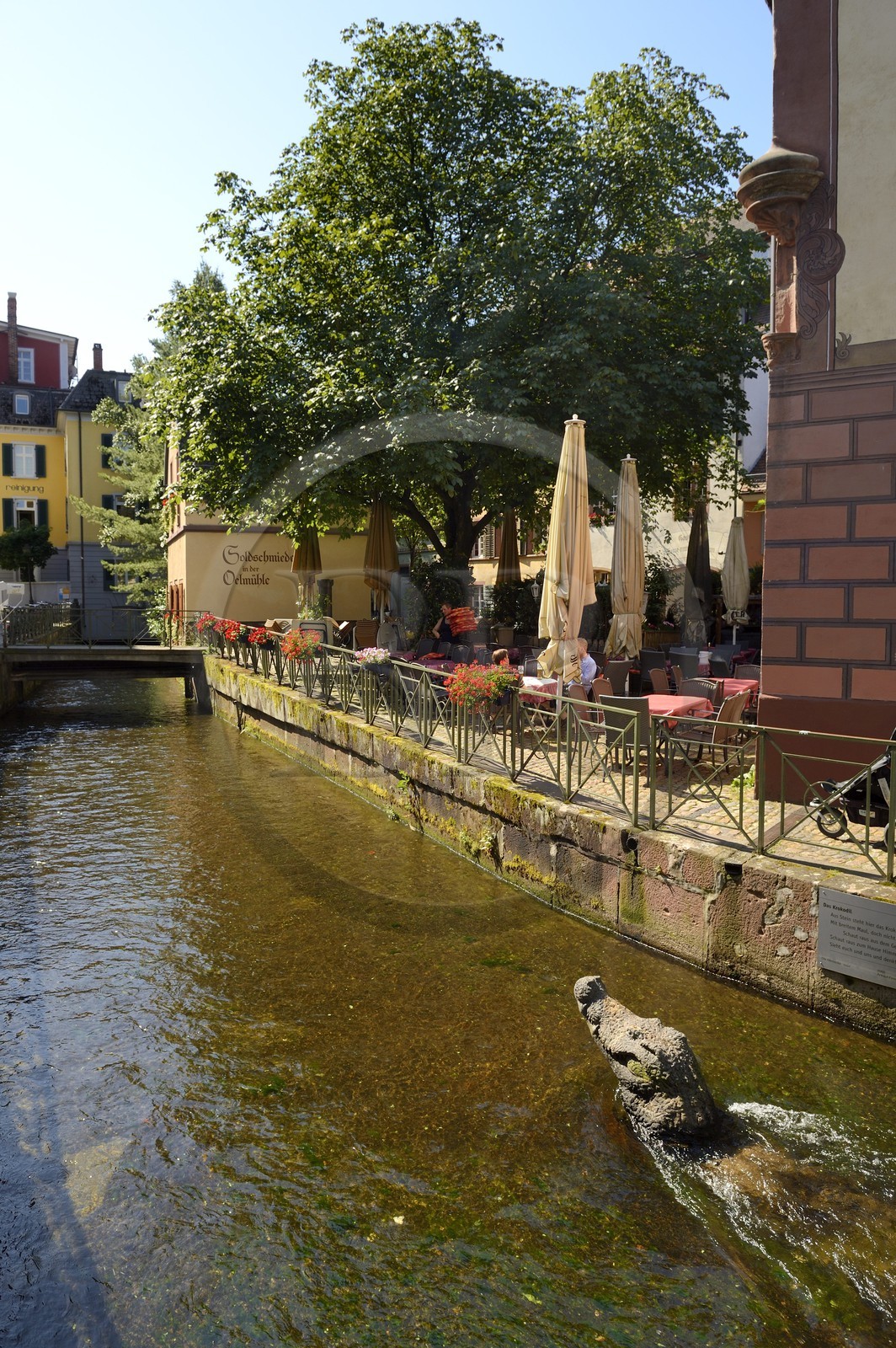 Allemagne, Bade-Wurtemberg, Fribourg en Brisgau, rue Gerberau dans le quartier faubourg des Escargots (Schnecken-vorstadt), la statue du crocodile dans les eaux du Gewerbekanal