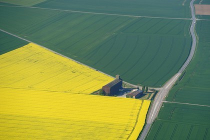 France, Eure (27), champ de colza en fleurs (vue aérienne)