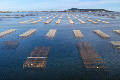 France, Hérault, Bouzigues, oyster farm on the Etang de Thau, the Mont Saint-Clair and Sète in the background (aerial view)