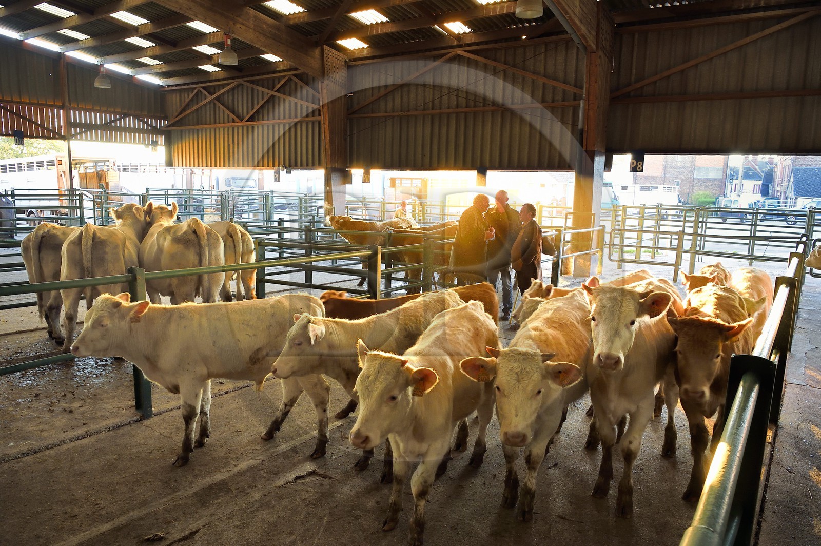 France, Seine-Maritime (76), Forges-les-eaux, marché couvert aux bestiaux