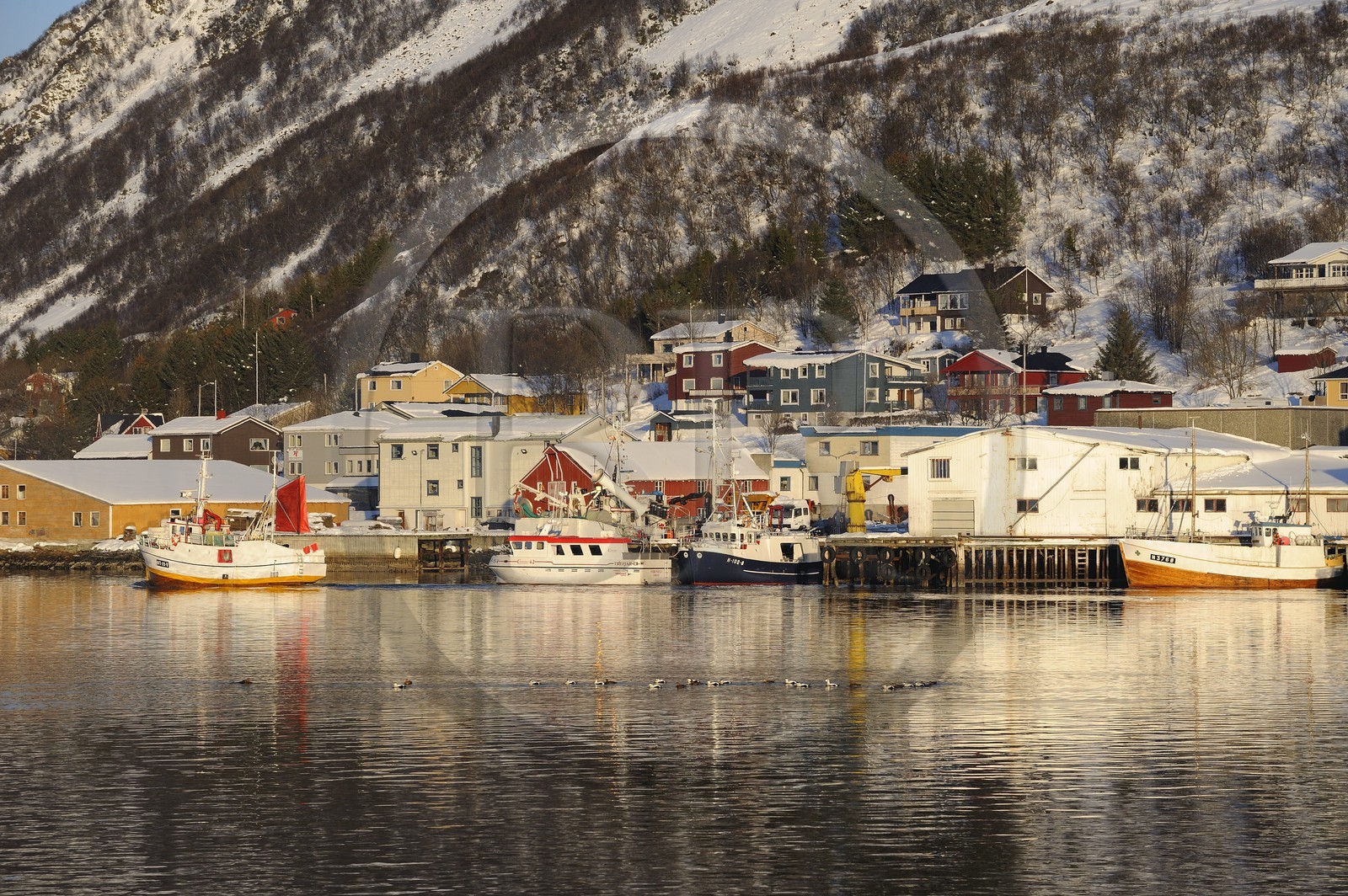 Norvège, Nordland, iles des Westeralen, port de Myre