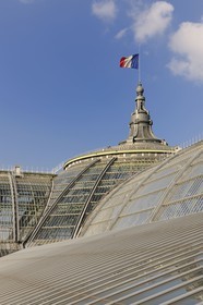 France, Paris (75), le Grand Palais, la verrière