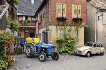 France, Haut Rhin, the Alsace Wine Route, Hunawihr, labelled Les Plus Beaux Villages de France (The Most Beautiful Villages of France), outside the home of a winemaker during harvest