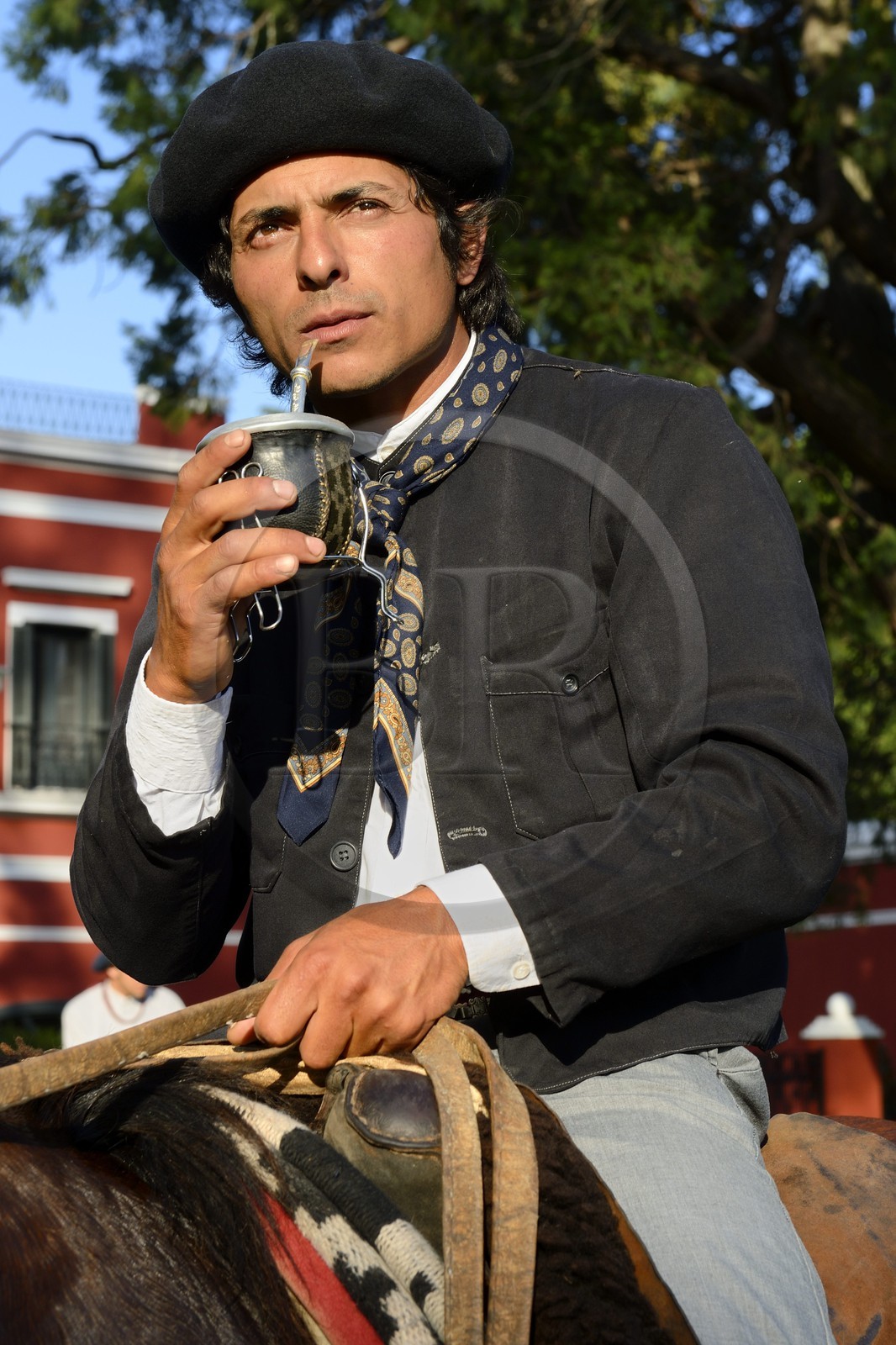 Argentine, province de Buenos Aires, San Antonio de Areco, estancia La Bamba de Areco, gaucho buvant du maté (infusion locale)