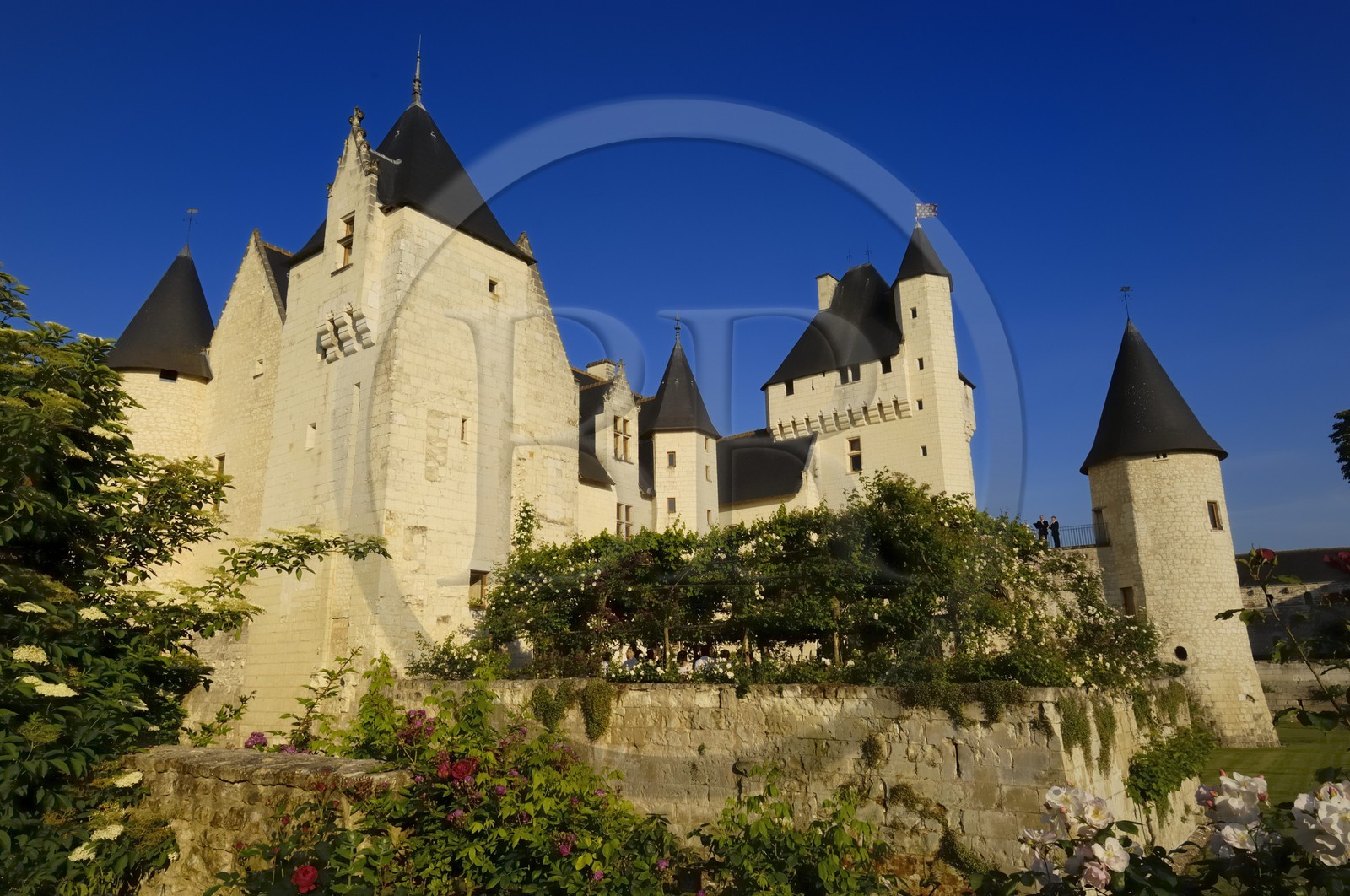 France, Indre et Loire (37), château du Rivau