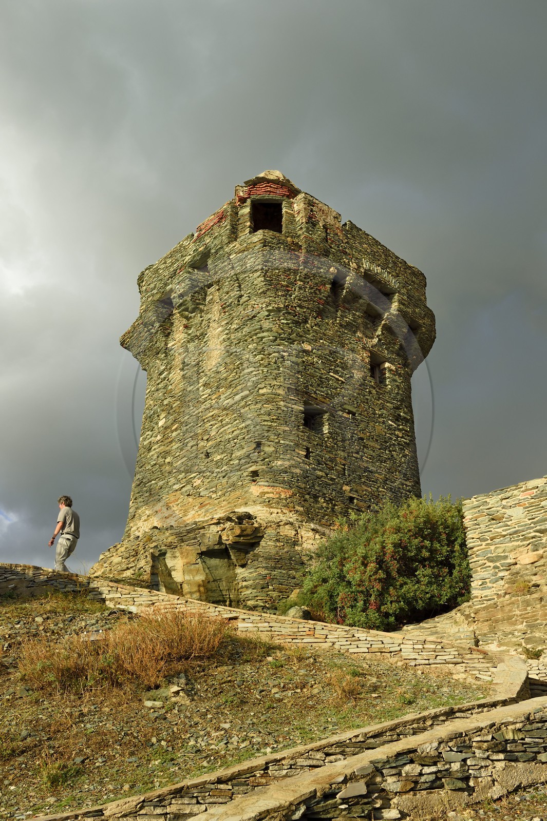 France, Haute-Corse (2B), Cap Corse, Nonza, la Tour paoline (Torra paolina)