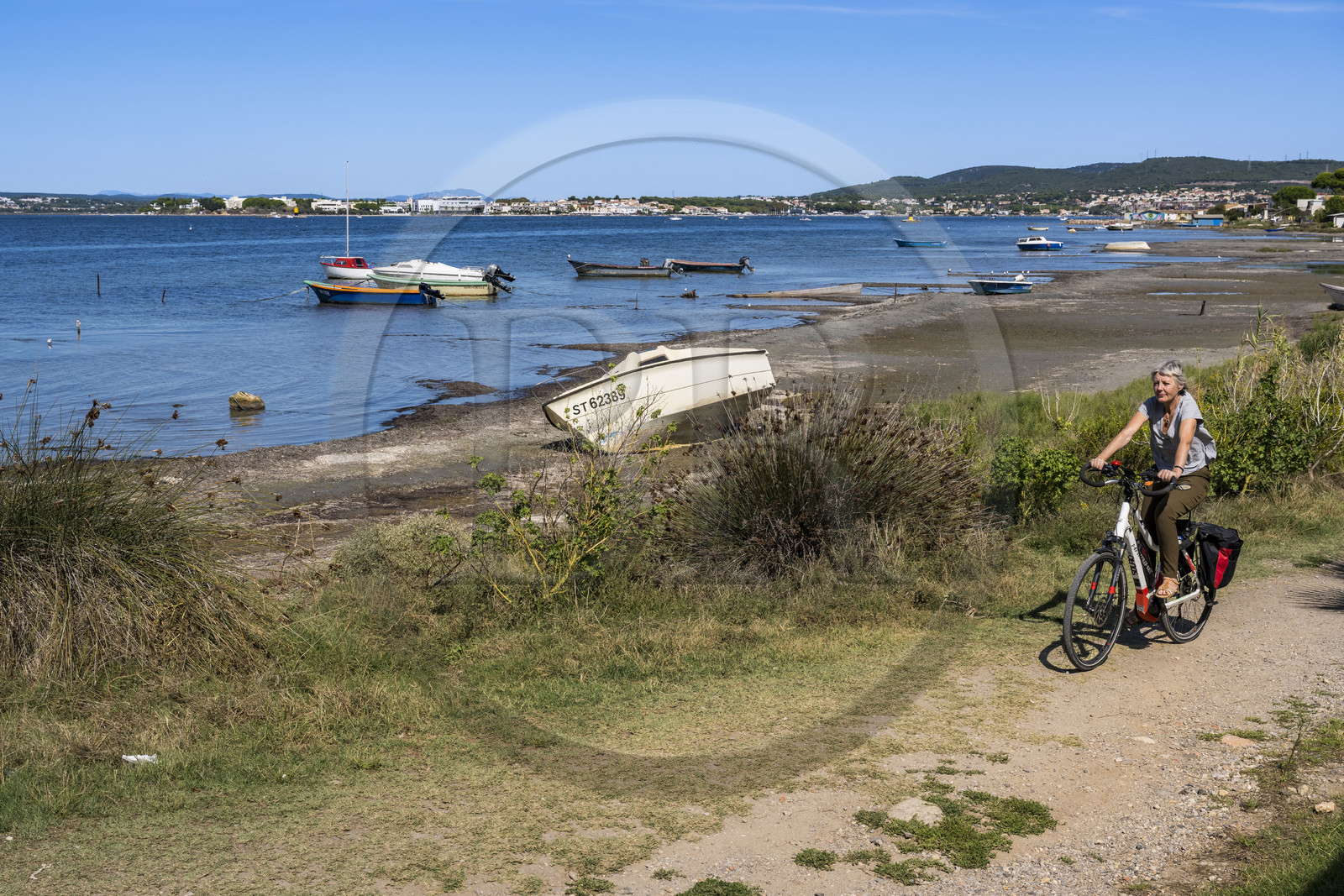 France, Hérault (34), Sète,  Pointe du Barrou, randonnée cycliste sur les rives de l'étang de Thau