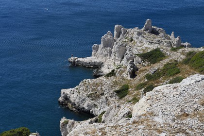 France, Bouches-du-Rhône (13), Marseille, Parc National des Calanques, Archipel des Iles du Frioul, Ile de Pomègues