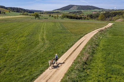 France, Haute-Loire (43), , hiking with a donkey on the Robert Louis Stevenson Trail (GR 70) between Goudet and Ussel (aerial view)