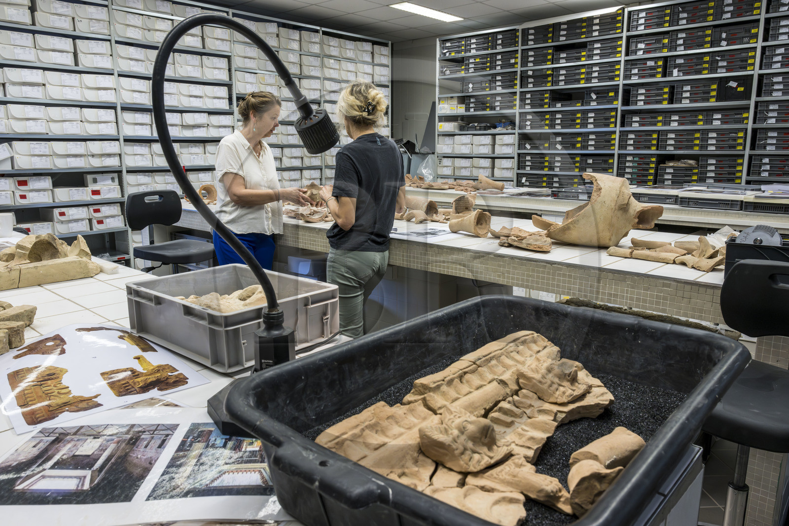 France, Bouches-du-Rhône (13), Arles, musée départemental Arles antique, salle d’étude du service archéologie, recherches des fouilles du site de l'ancienne verrerie de Trinquetaille sur la rive droite du Rhone, au premier plan maison de la harpiste (entre 70 et 50 av. J.-C.), figure de chien protecteur en tuile et gargouilles de la toiture de l'atrium