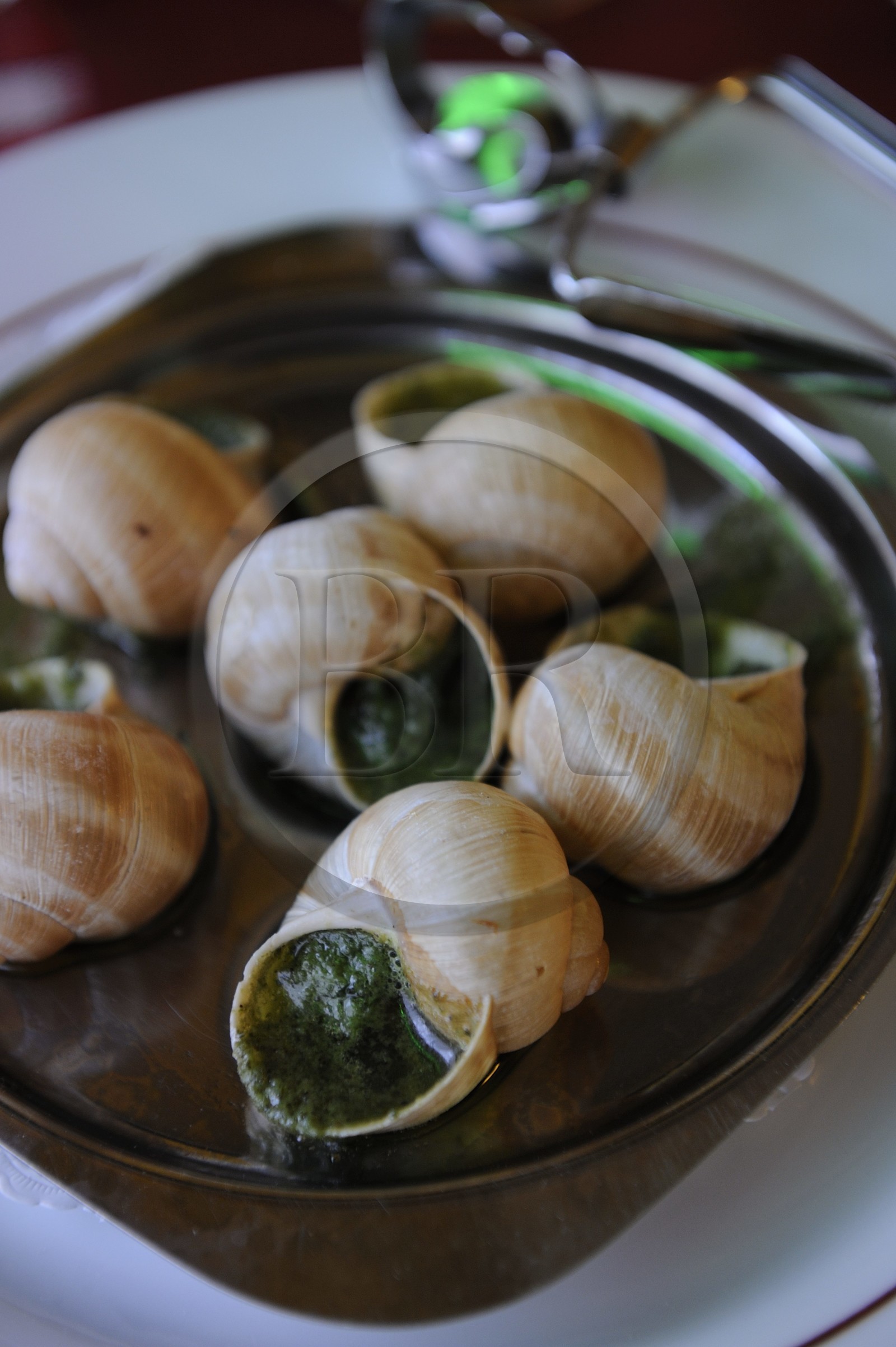 France, Côte d'Or (21), Dijon, escargots de Bourgogne