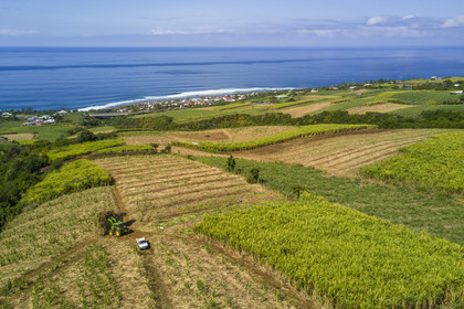 France, Ile de la Reunion, Petite-Ile, coupe et r