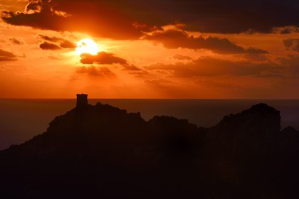 France, Corse du Sud, Cala de Roccapina natural site, genoese tower and Lion rock