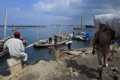 Tanzania, Zanzibar Archipelago, Unguja island (Zanzibar), Stone Town, listed as World Heritage by UNESCO, dhows (traditional Arab sailing vessels) port, coal unloading