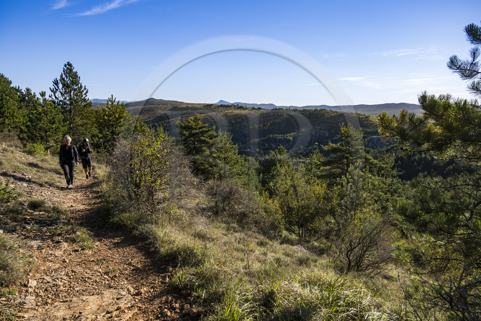 France, Hérault (34), les Causses et les Cévennes, paysage culturel de l'agro-pastoralisme méditerranéen inscrit au Patrimoine Mondial de l'UNESCO, La Vacquerie-et-Saint-Martin-de-Castries, randonneurs sur le sentier GR7 en direction du Mont Saint Baudille et de Saint-Guilhem-le-Désert