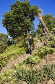 France, Var, Le Rayol Canadel sur Mer, Domaine du Rayol, Conservatoire du Littoral Estate compulsory mention, Jardin des Mediterranees designed by landscaper Gilles Clément, the Arid American Garden, Chief gardener Tao Ramsa