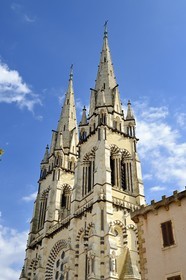 France, Allier (03), former province of Bourbonnais, Moulins, Notre-Dame-de-l'Annonciation cathedral