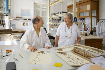 France, Alpes-Maritimes (06), Antibes, Le Jardin Botanique de la Villa Thuret (rattachée à l'INRAE), labellisé Jardin Remarquable et Arbre Remarquable, un des laboratoires de recherche dans la villa, Catherine Ducatillion, la directrice de l'Unité expérimentale, échange avec Bernard Elsair qui travaille sur l'herbier Thuret